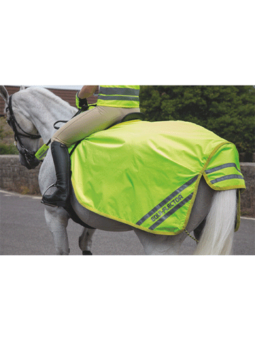 Equiflector Waterproof Exercise Rug