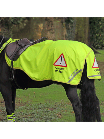 Equiflector Waterproof Exercise Rug