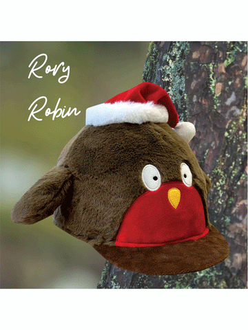 Rory Robin Hat Silk from Equetech