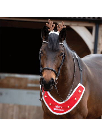 Reindeer Antler Bridle Accessory