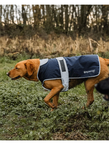 ReinCoat Dog Coat