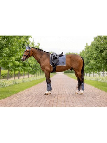 Loire Dressage Saddle Square- LeMieux