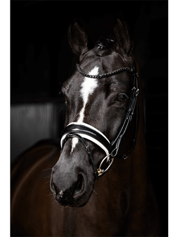 Kudos Patent Dressage Bridle- Le Mieux