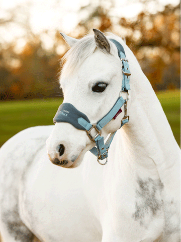 Mini LeMieux Vogue Fleece Headcollar and Leadrope Set