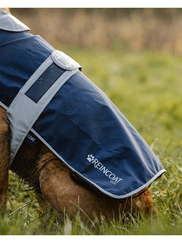 ReinCoat Dog Coat