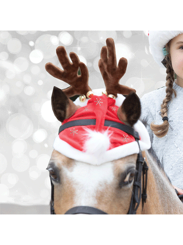 Child's Santa Glitter Snowflake Hat Horse Bonnet