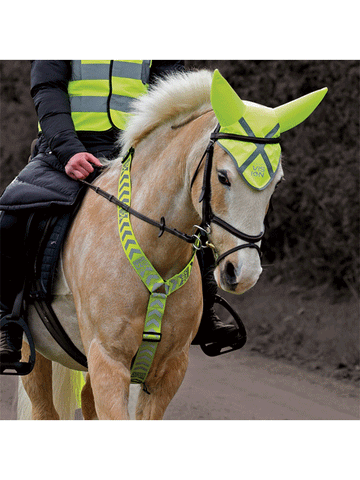 Hi Vis Vision Breastplate