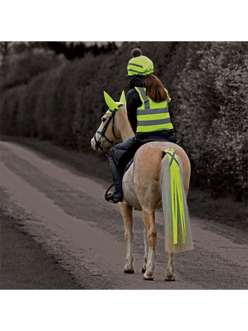 Hi Vis Vision Tail Tassels