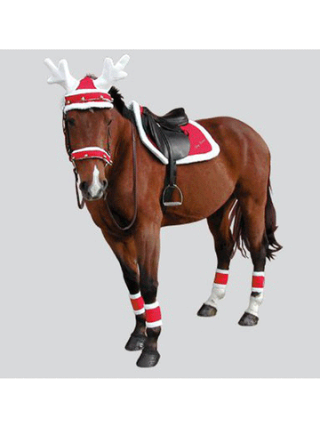 Christmas Santa Leg Bands for Horses and Ponies