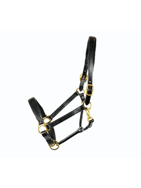 Silver Spur Padded Leather Halter with Contrast Piping 